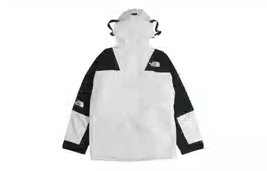 The North Face 1994 Retro Mountain Futurelight