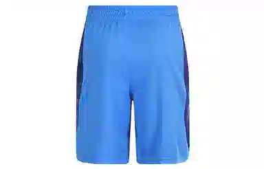 Nike Shorts Blue