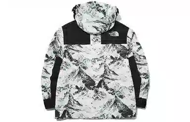 The North Face Gore-Tex White Jacket