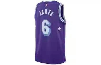 Nike NBA Los Angeles Lakers LeBron James 6 Jersey