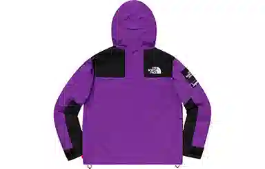 Supreme x The North Face SS19 Jacket Purple