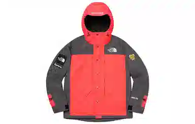 Supreme x The North Face SS20 Jacket Pink