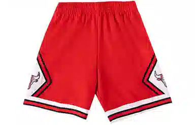 Mitchell Ness NBA 75 SW 97