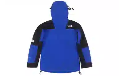 The North Face 1994 Mountain Light Jacket