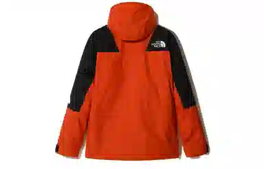 THE NORTH FACE Mountain Light Dryvent Insulated