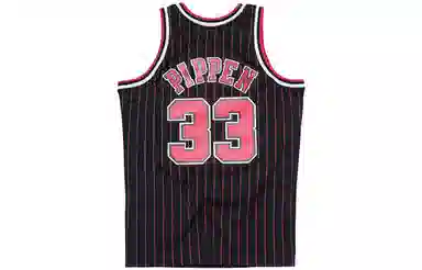 Mitchell Ness NBA SW 33