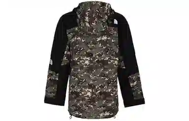 THE NORTH FACE 1994 Retro Mountain Futurelight