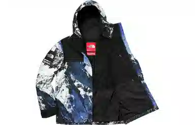 Supreme x The North Face Mountain Parka Blue