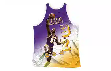 Mitchell Ness NBA 32