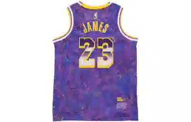 Nike NBA James 23 Jersey