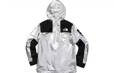 Supreme x The North Face Metallic Jacket Silver
