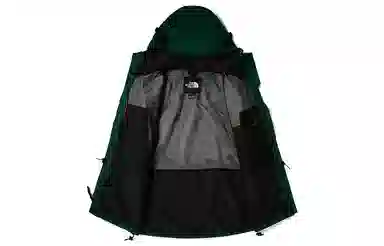 The North Face Retro Mountain Light Futurelight