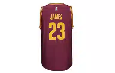 adidas SW Cleveland Cavaliers LeBron James Jersey