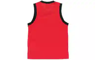 Air Jordan Jumpman Sport DNA