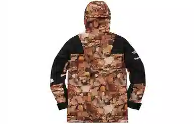 Supreme x The North Face FW16 Leaf Print Jacket Black