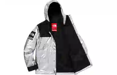 Supreme x The North Face Metallic Jacket Silver