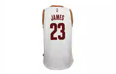adidas NBA Jersey Cleveland James Cleveland Cavalier Swingman