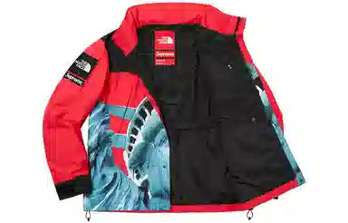 Supreme x The North Face Statue of Liberty Jacket Red