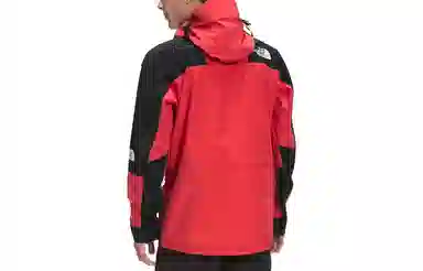 The North Face 1994 Retro Mountain Futurelight