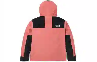 The North Face 1986 Hoodie