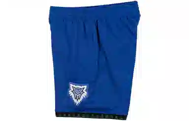 Mitchell Ness SW