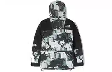 The North Face 1994 Mountain Light Jacket