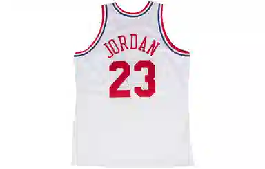 Mitchell Ness AU 91 23