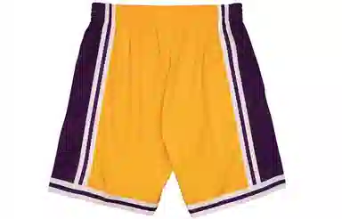 Mitchell Ness Big Face 2.0 Shorts