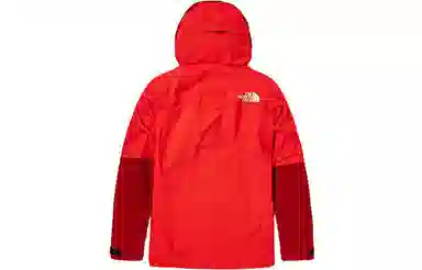 THE NORTH FACE Summit Series Logo