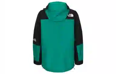 THE NORTH FACE 1994 mountain light jacket Gore-Tex