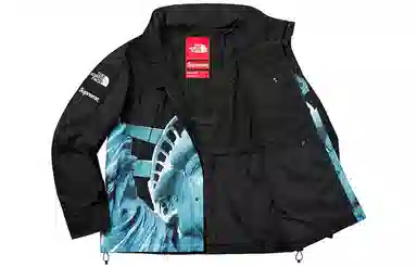 Supreme x The North Face Statue of Liberty Mountain Jacket Black