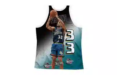 Mitchell Ness NBA 33