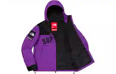 Supreme x The North Face SS19 Jacket Purple