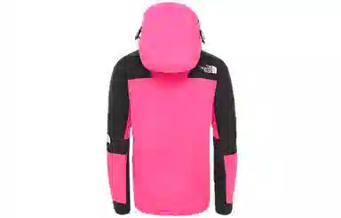 The North Face 1994 Retro Mountain Futurelight