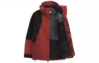 THE NORTH FACE 1994 Retro Mountain Light Futurelight Jacket