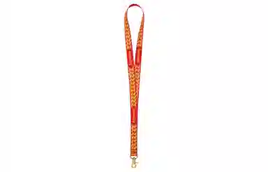 Supreme Week 14 Cuban Links Lanyard