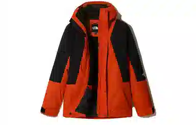 THE NORTH FACE Mountain Light Dryvent Insulated