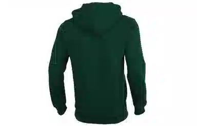 adidas originals Trefoil Hoodie