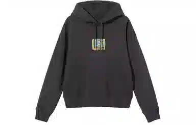 Stussy Agness Boxy Crop Hoodie