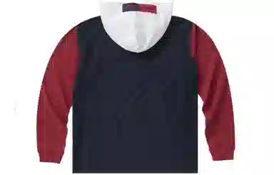 Champion Reverse Weave