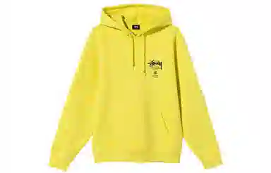 Stussy World Tour Hood