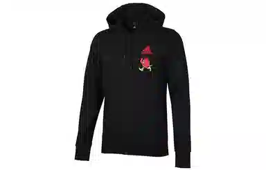 adidas Isc Gfx Swt I