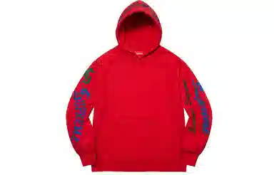 Supreme FW21 Week 1 Multi Logo Hooded Sweatshirt