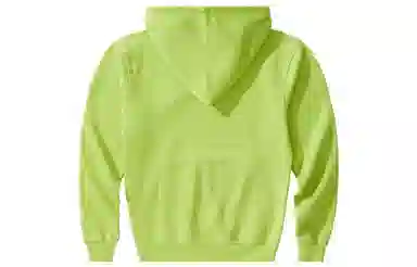 Champion Men's Life c