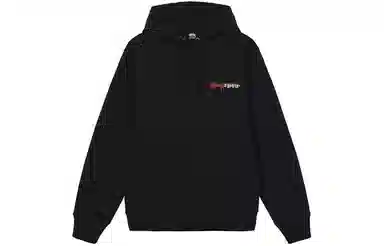 Stussy FW21 Positive Vibrations Embroidered Hoodie Logo
