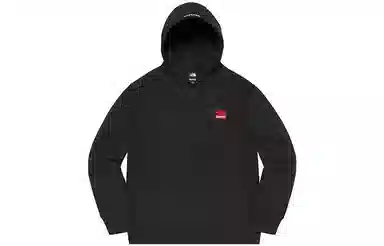 Supreme x THE NORTH FACE FW19 Week 10 Statue of Liberty Hooded Sweatshirt Black