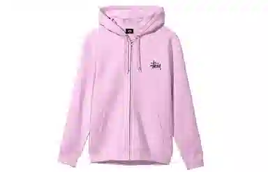 Stussy BASIC ZIP HOOD logo