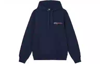 Stussy FW21 Positive Vibrations Embroidered Hoodie Logo