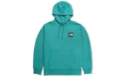 THE NORTH FACE SS22 Logo