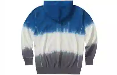 Champion Reverse Weave